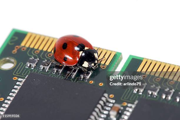 Tiny Computer Chip Tiny Computer Chips Photos and Premium High Res Pictures - Getty Images