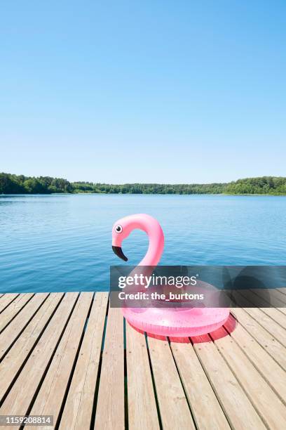 inflatable pink flamingo on a jetty at idyllic lake against blue sky - standing water 個照片及圖片檔