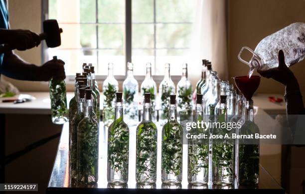 bottle filling and preparation of traditional liqueur based on anise and moonshine with aromatic herbs, (herbero). - craft cocktail stock pictures, royalty-free photos & images