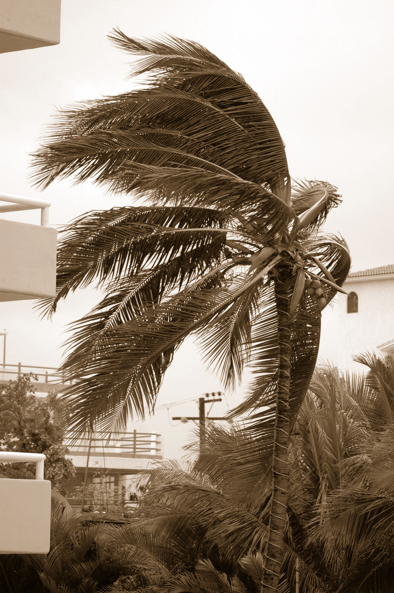baja california rain
