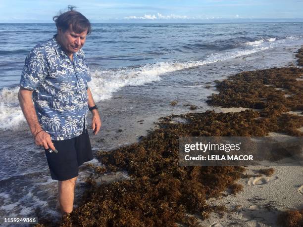 Steve Leatherman, a Florida International University professor of environmental studies also known as "Dr. Beach", walks along the sargassum in...