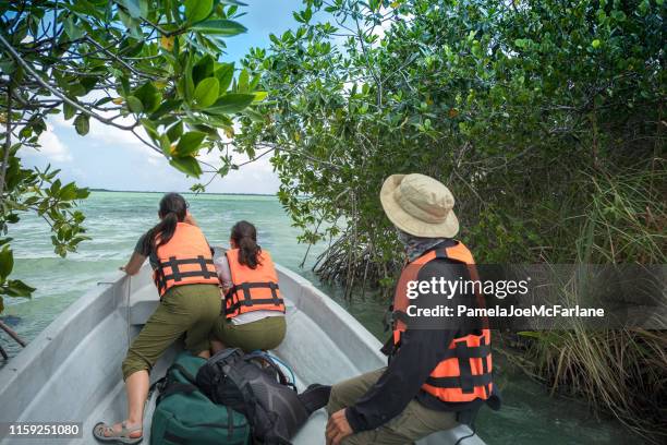 pov, schwestern eco-touring in boat looking at view, entering ocean - wilderness guide stock-fotos und bilder