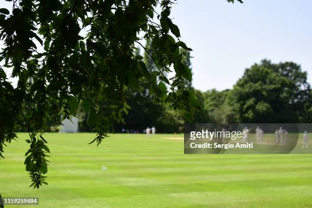 cricket players on a pitch - cricket stumps stock pictures, royalty-free photos & images