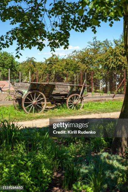 wooden horse wagon in the rural setting - cultura ceca foto e immagini stock
