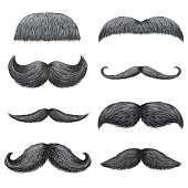 Different styles of male realistic mustaches set. Chevron, Dali, english, handlebar, imperial, lampshade, painter brush, classic relaxed, thick thin man mustaches isolated.