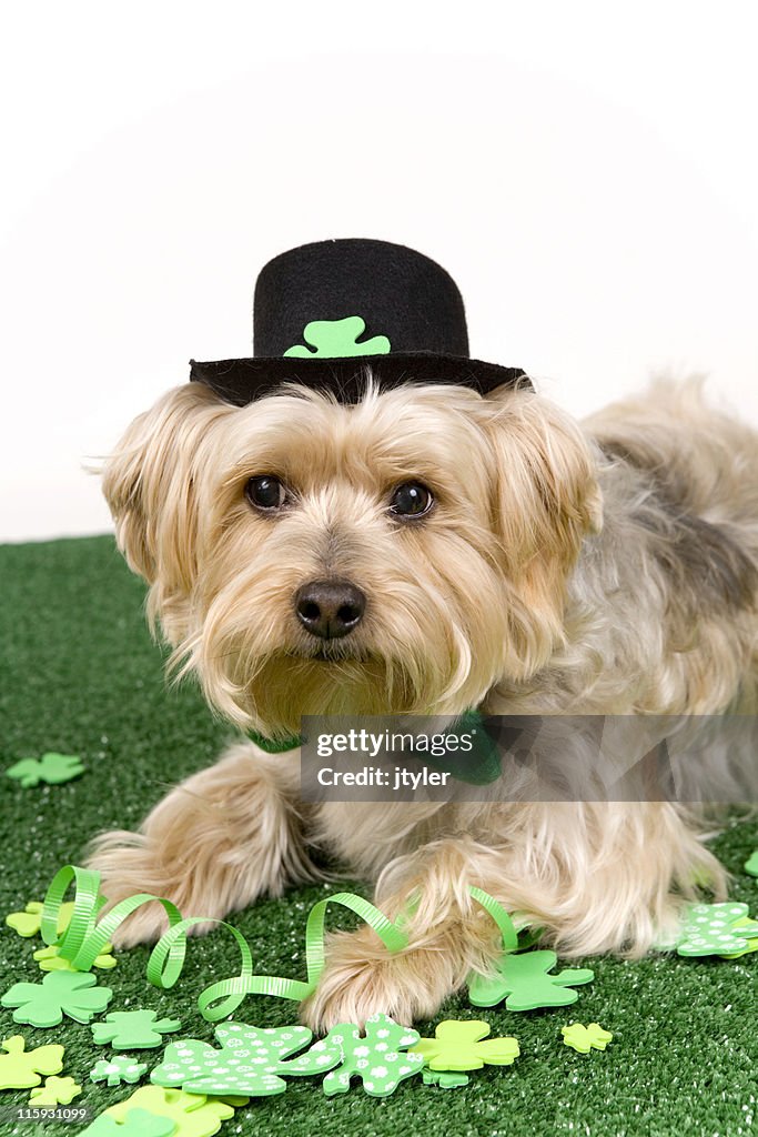 Top Hat and Bow Tie