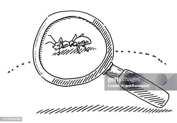 magnifying glass ant symbol drawing - ant stock illustrations