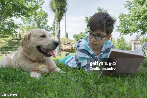 happy boy reading a book with his dog - dog homework stock pictures, royalty-free photos & images
