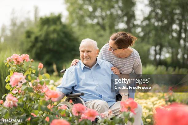 assistente domestico e uomo anziano su una sedia a rotelle, che cammina all'aperto - rosa germanica foto e immagini stock