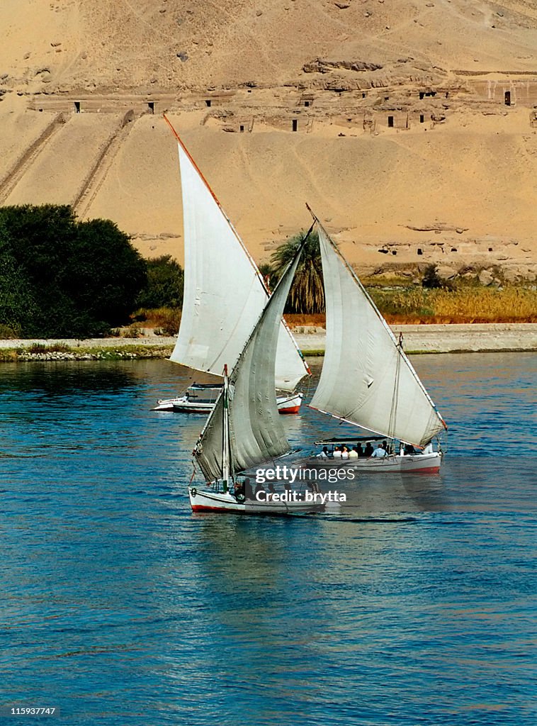 Sailing felucca boats