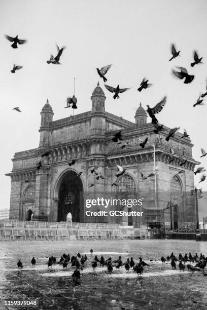 the majestic gateway of india, mumbai - porta da índia imagens e fotografias de stock