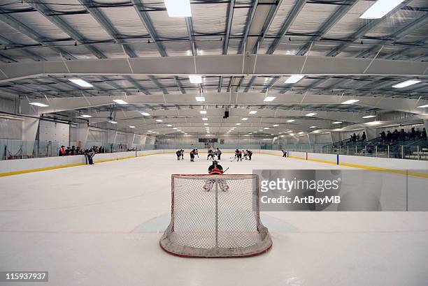 face off - hockey puck in net stock pictures, royalty-free photos & images