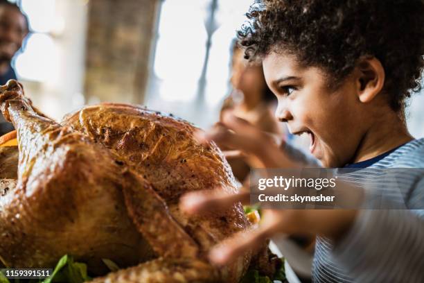 african american boy about to bite stuffed turkey on thanksgiving day. - turkey meat stock pictures, royalty-free photos & images