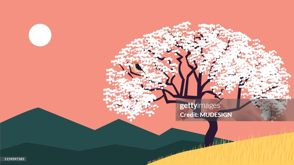 Weiße Blüte Baum und Vogel