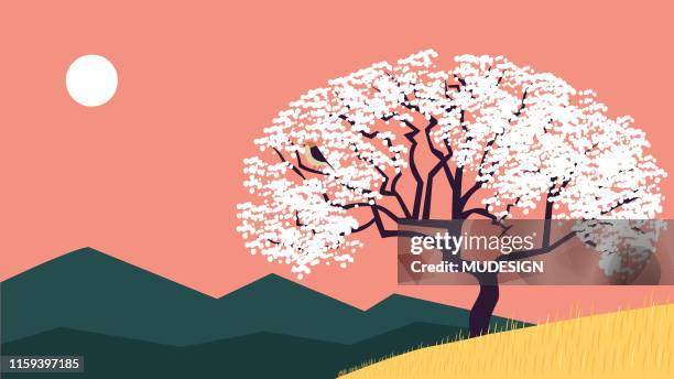 weiße blüte baum und vogel - bird on a tree stock-grafiken, -clipart, -cartoons und -symbole