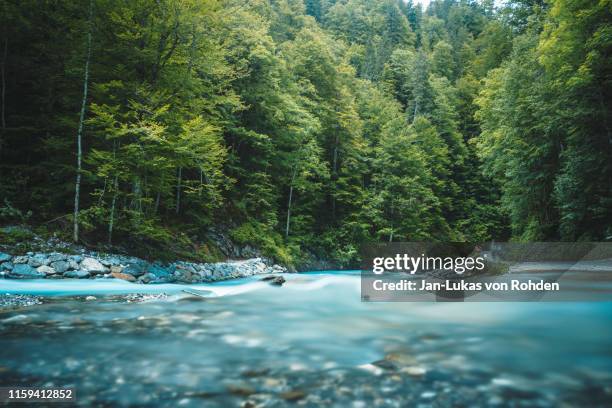 partnachklamm lake between trees and mountains - riachuelo fotografías e imágenes de stock