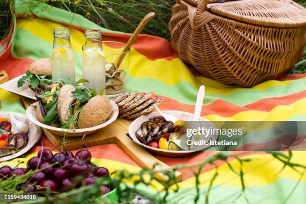 picnic with fresh vegan dishes in summer park - picknick stockfoto's en -beelden
