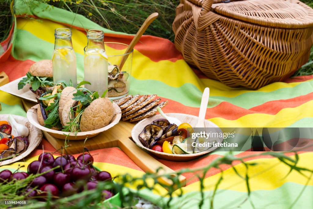 Picnic with fresh vegan dishes in summer park