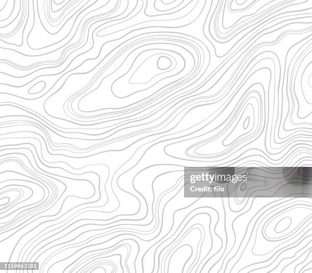 stockillustraties, clipart, cartoons en iconen met topografische lijnen achtergrond - dividing line