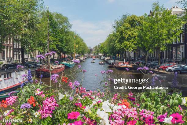 flowers on a canal in amsterdam, the netherlands - amsterdam spring stock pictures, royalty-free photos & images