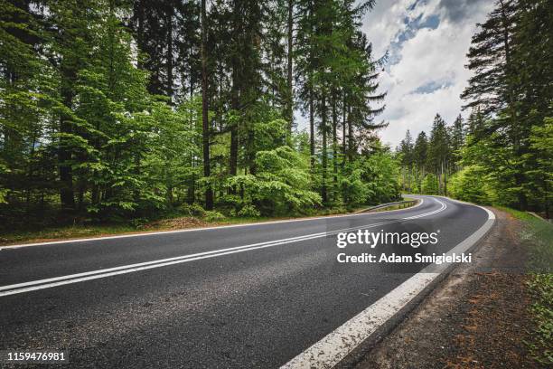 panoramic mountain road (hdri) - sunny forest stock pictures, royalty-free photos & images