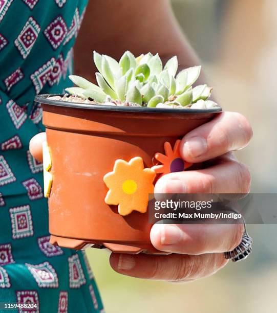 Catherine, Duchess of Cambridge holds a potted succulent plant she received during a visit to the RHS Hampton Court Palace Garden Festival where she...