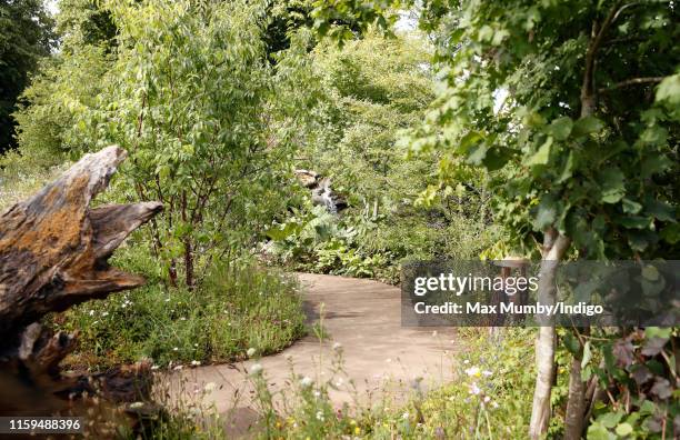 General view of The RHS 'Back to Nature Garden' co-designed by Catherine, Duchess of Cambridge at the RHS Hampton Court Palace Garden Festival at...