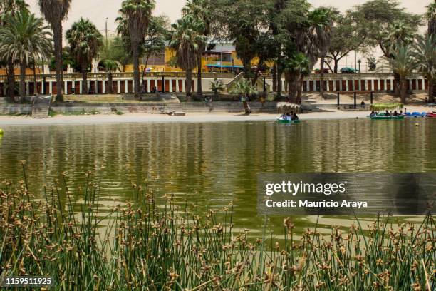 huacachina oasis - huacachina stock pictures, royalty-free photos & images