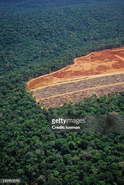 deforestation in the amazon - deforestation stockfoto's en -beelden