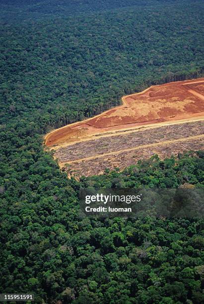 deforestation in the amazon - brazil aerial stock pictures, royalty-free photos & images