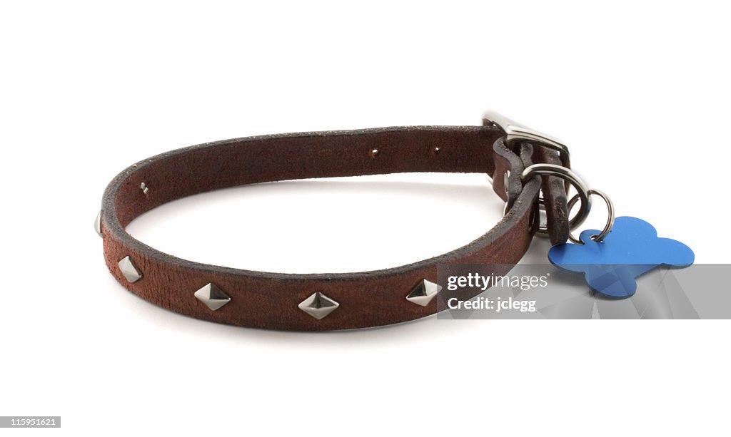 Dog Collar with blank id tag