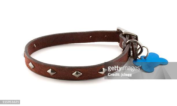 dog collar with blank id tag - collar stock pictures, royalty-free photos & images