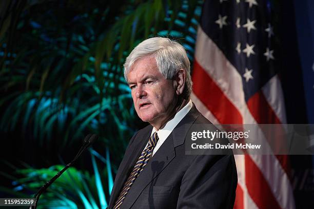 Republican presidential candidate, former Speaker of the House Newt Gingrich, delivers a foreign policy address to the Republican Jewish Coalition as...