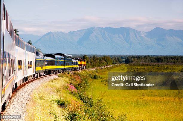 train to denali - mt mckinley stock pictures, royalty-free photos & images