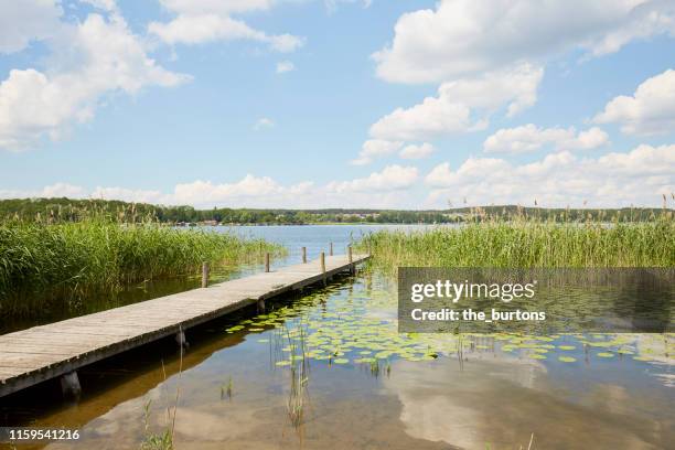 jetty at idyllic lake with reed grass against sky - jetty ストックフォトと画像