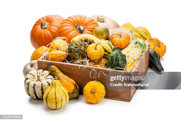 assortment of multi colored decorative gourds in a crate isolated on white background - gourd stock pictures, royalty-free photos & images