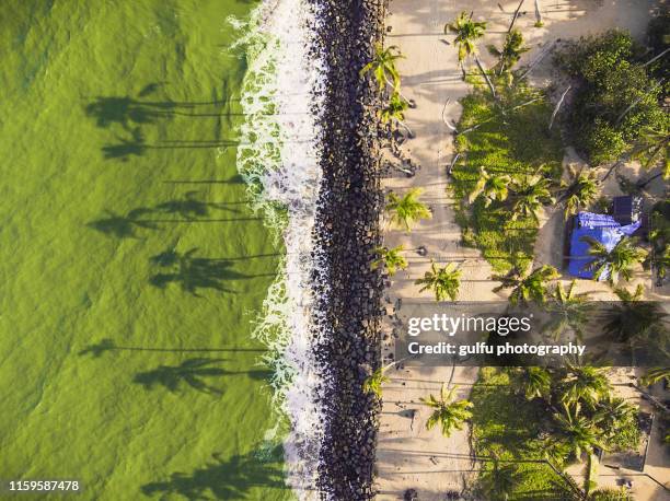 loc -line of control (costal village kerala) - kerala food stock pictures, royalty-free photos & images