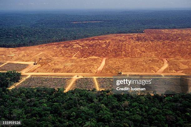 deforestation in the amazon - amazone stockfoto's en -beelden