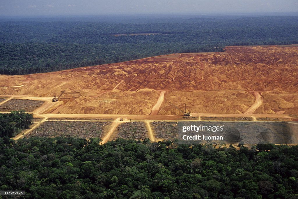Desmatamento na Amazônia