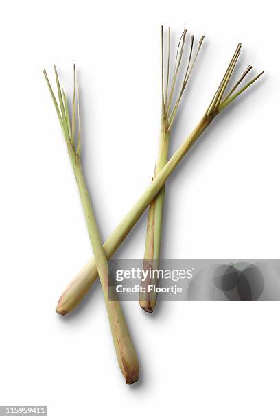 fresh herbs: lemon grass sereh - lemongrass stockfoto's en -beelden