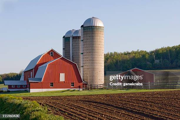red barn in field - bondgård bildbanksfoton och bilder