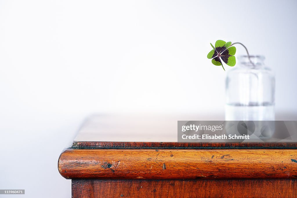 Fourleaf cloverin vase on dresser