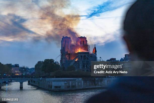 man watching notre-dame de paris fire from far, paris, ile-de-france, france - kathedrale von notre dame stock-fotos und bilder