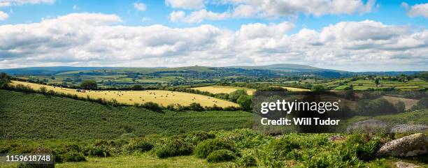 dartmoor from moretonhampstead - biodiversity stock pictures, royalty-free photos & images