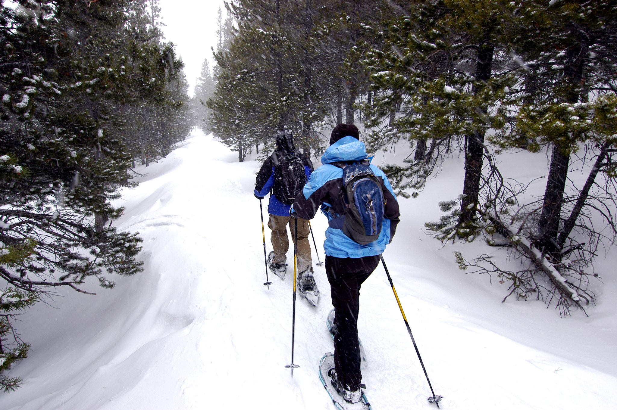 snowshoeing alaskan trail