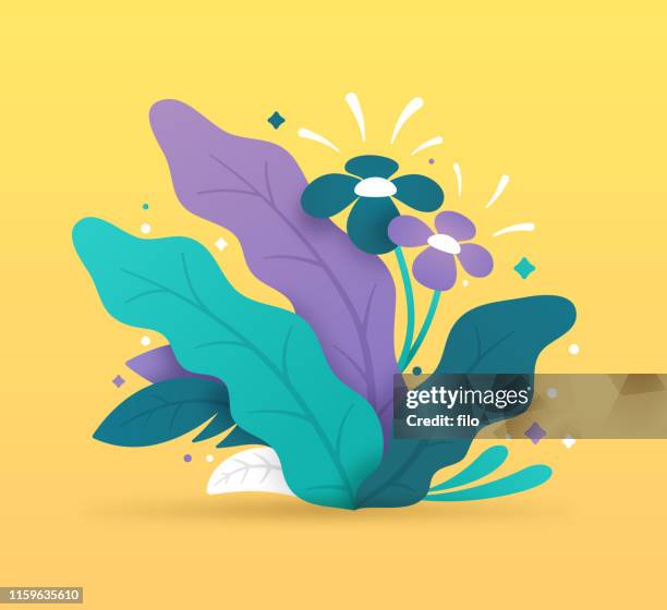 tropical plants - flower tropical vector stock illustrations