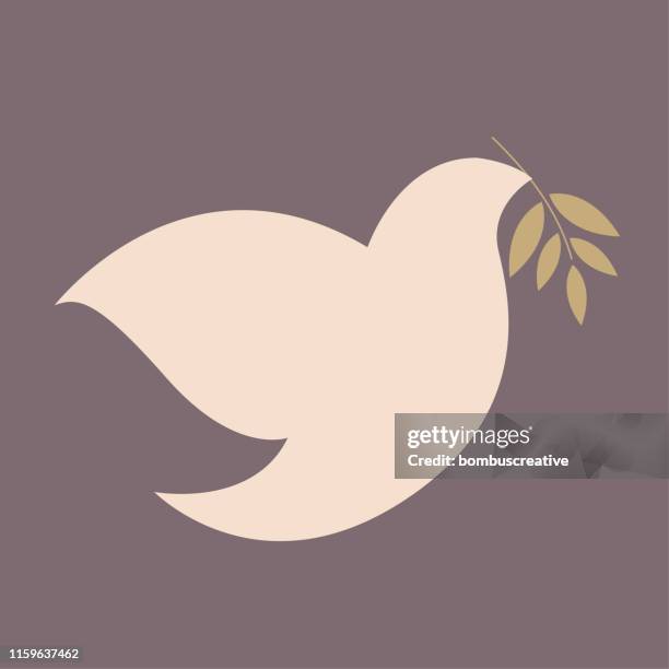 ilustraciones, imágenes clip art, dibujos animados e iconos de stock de símbolo de la libertad del amor de la paz - paloma pájaro