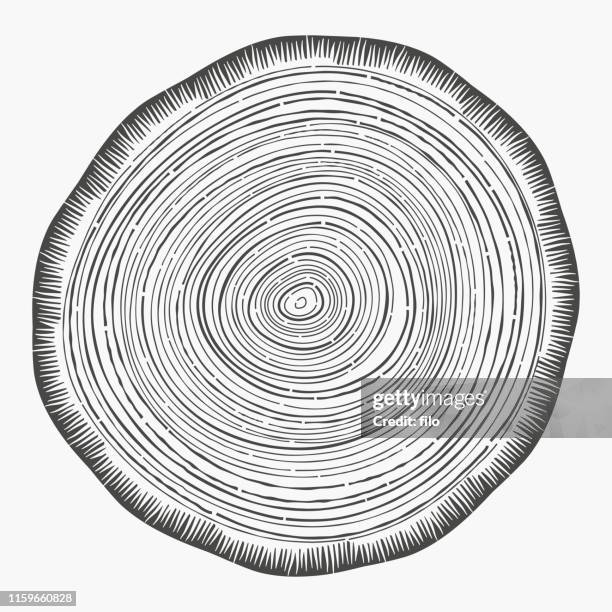 tree rings - wood grain stock illustrations