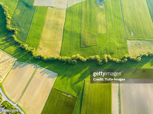 aerial agricultural landscape of green crops - aerial view farm stock pictures, royalty-free photos & images