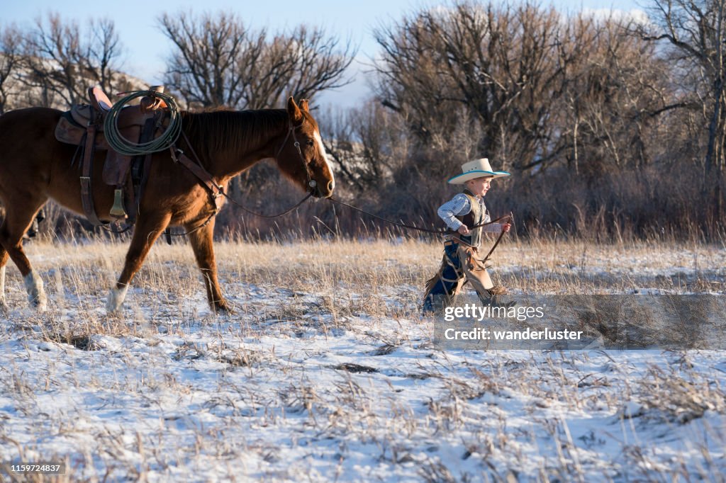 Junger Cowboy führt ein Viertel Pferd
